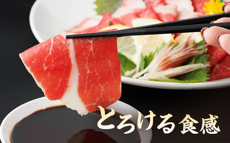 【6回定期便】ヤング馬刺し 計600g（6pc）＋タレ大【馬刺しの郷 民守】肉 馬肉 馬 熊本県 特産品 特産 馬刺し [ZBL075]