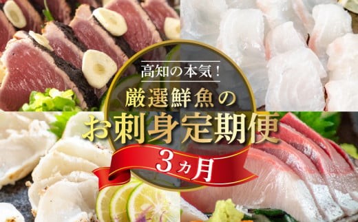 
            厳選! 3ヶ月 お楽しみ定期便 刺身 定期便 小島水産 がお届けする! お好きな魚が選べる お刺身 全3回 3か月 3カ月 コース 冷蔵 冷凍 鮮魚 海鮮 下処理済 産地直送 新鮮 鰤 ブリ 鯛 真鯛 タイ かつおのタタキ 鰹 カツオ 鰹のたたき 高知県 須崎市 魚介類 定期便 刺身定期便 肉より魚 旬の鮮魚 70000円 7万円以下 KS29000-x
          
