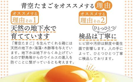 有田の青空たまご ササキのたまご MSサイズ 108個入