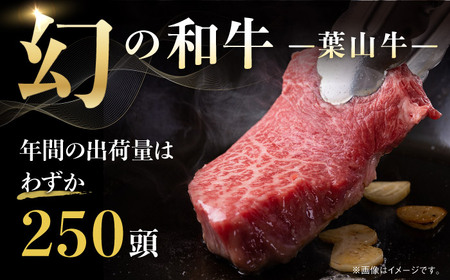【全3回定期便】葉山牛500g　焼肉用ミックス 牛肉（ロース、モモ、カルビ等 ） 食べ比べ[ASBD028]