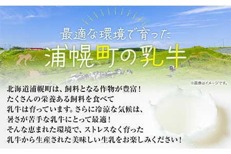 森永北海道3.6牛乳 1000ml×12本 ロングライフ 牛乳 ミルク