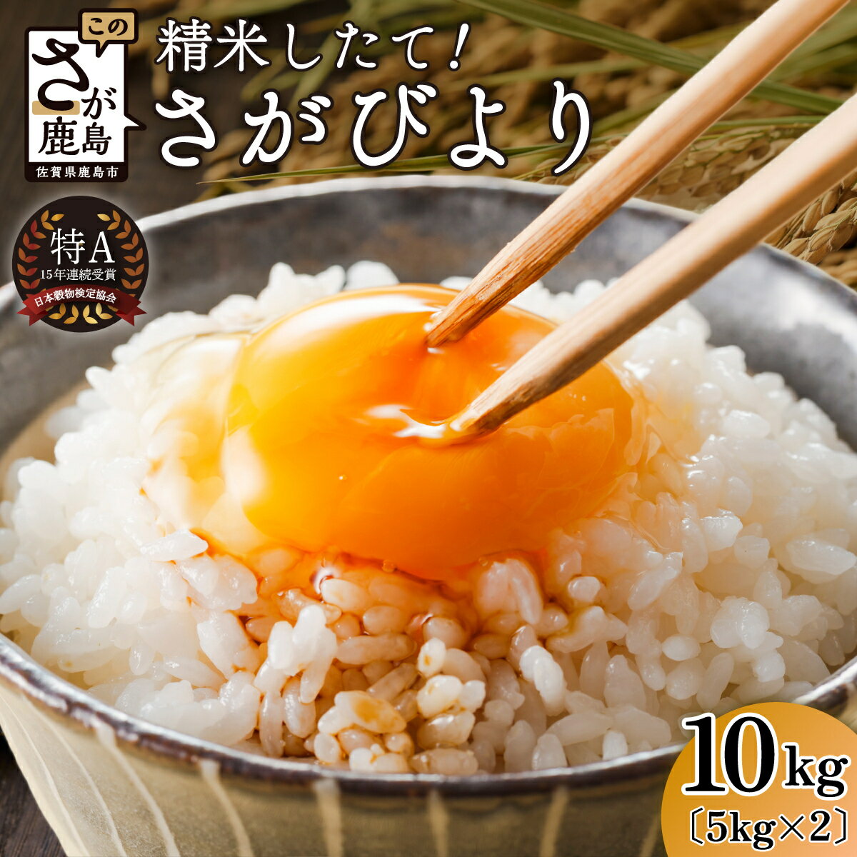 【ふるさと納税】さがびより 令和7年産 白米 5kg × 2袋 計10kg 鹿島市産 特A 獲得 米 | ふるさと納税 ふるさと 米 お米 新米 精米 こめ 国産 佐賀県 鹿島市 ふるさと 人気 送料無料 B-167