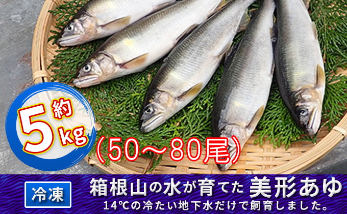 
箱根の水が育てた美形あゆ【冷凍 約5kg（50～80尾）】 [№5812-0321]
