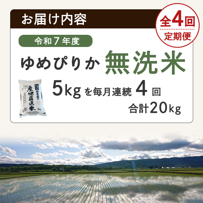 ＜全4回定期便＞北海道士別産 無洗米 ゆめぴりか (計20kg・5kg×4回) 米 お米 ゆめぴりか 定期便 白米 北海道産 北海道米 士別産 ごはん 産地直送 窒素置換包装 【産直の谷農園】【E7092-2】
