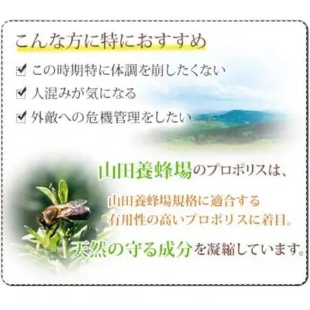 プロポリス粒 (486)【1111703】