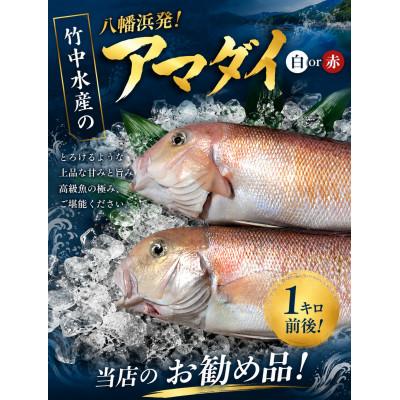 ふるさと納税 八幡浜市 竹中水産の「甘鯛」(赤又は白)約1キロ【F22-260】