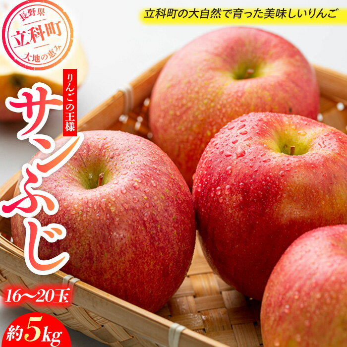 【ふるさと納税】 たてしなりんご サンふじ (約5kg、16～20玉) | 果物 フルーツ りんご サンふじ 信州 立科町