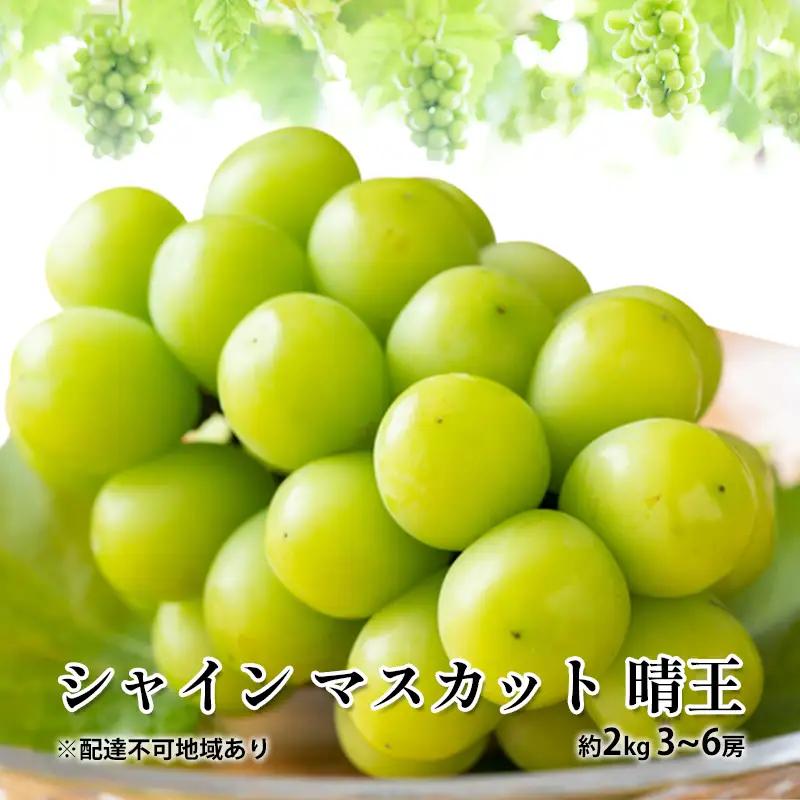 シャインマスカット 晴王 種無し 岡山県産 シャインマスカット【約2kg 3～6房】【先行予約】