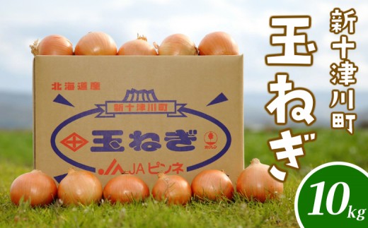 先行受付 北海道 玉ねぎ Lサイズ 10kg ｜ オンライン 申請 ふるさと納税 北海道 新十津川 北海道産 たまねぎ タマネギ 玉葱 L 大容量　箱 新鮮 甘い 高品質 野菜 やさい サラダ 新十津川町【12001AA0101】