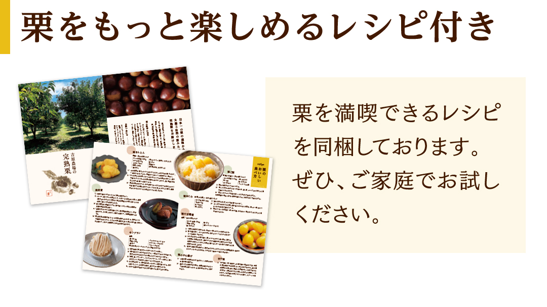 【 吉原農場 の 完熟栗 】 熟成 生栗 1kg 3Lサイズ ・ 生むき栗 3袋 令和7年産 セット 完熟 栗 くり クリ 栗ごはん 贈答 ギフト 果物 フルーツ 数量限定 旬 秋 冬 正月 おせち 