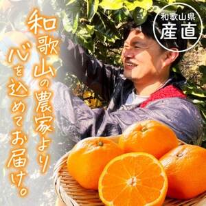 【発送月固定定期便】わかやま 旬のカンキツ定期便【M】全4回【4070731】
