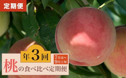 
                  【3回定期便】小布施屋の 桃食べ比べ定期便 約1.8kg×3回 ［小布施屋］ 桃 もも モモ フルーツ 果物 冷蔵便 クール便 長野県産 令和8年産【2026年7月末～9月上旬発送】[B-502]
                