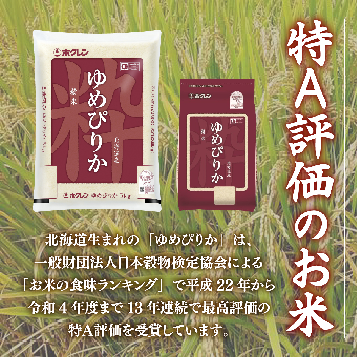 【令和7年産新米 定期配送5ヵ月】ホクレン ゆめぴりか 精米6kg（2kg×3） TYUA016_イメージ4