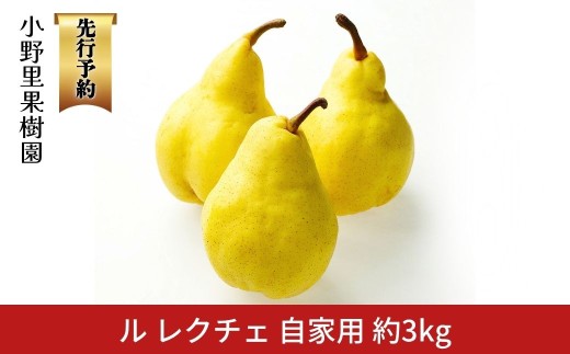 先行予約 ル レクチェ 自家用 約3kg(6～9個)  ル・レクチェ  新潟県産 洋梨 [小野里果樹園] 【013S079】