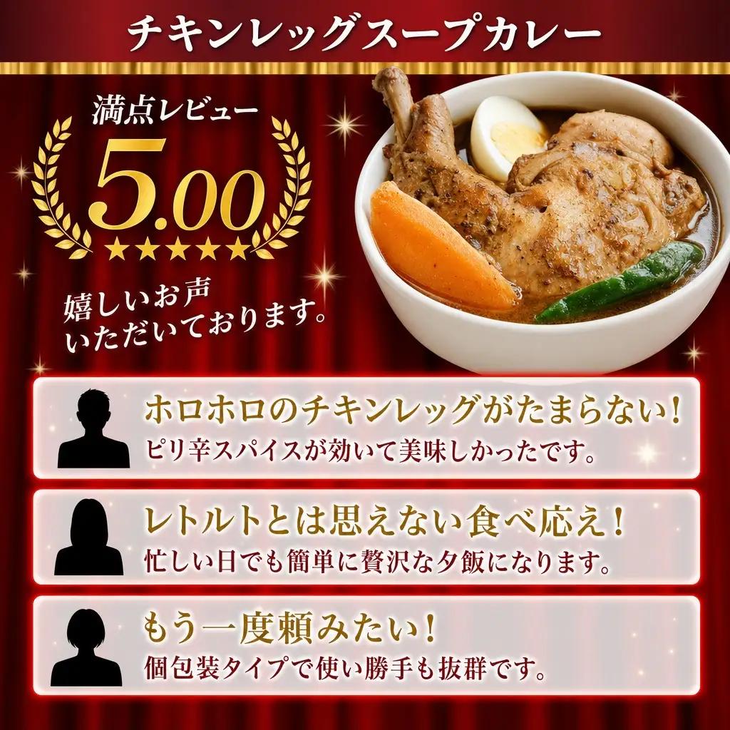 北国の丸ごとチキンレッグスープカレー 10個 レトルト 北海道 578