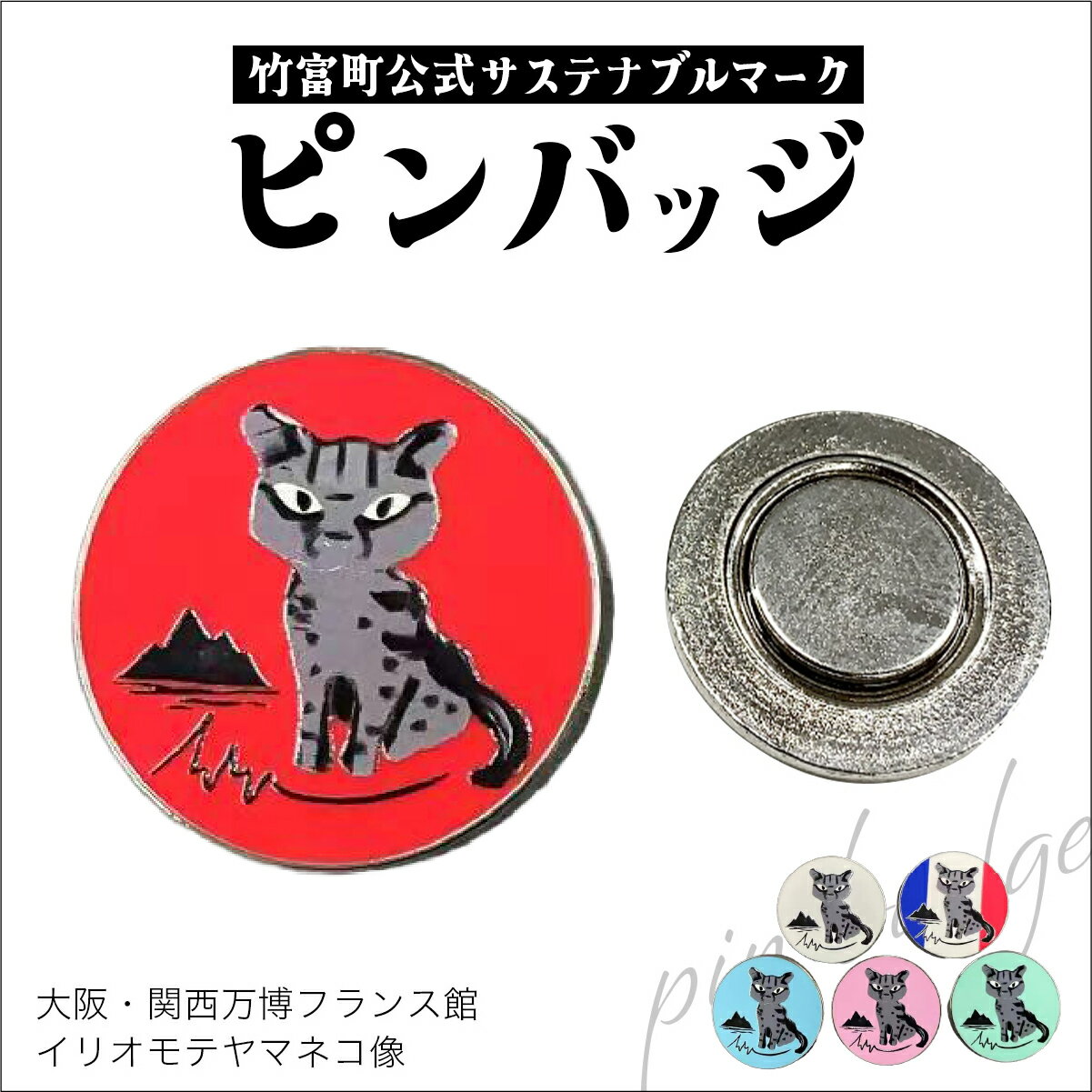 【ふるさと納税】竹富町公式サステナブルマークピンバッジ【全6色】（マグネットタイプ）｜ 大阪・関西万博フランス館イリオモテヤマネコ像【ピンバッチ マグネット 小物】