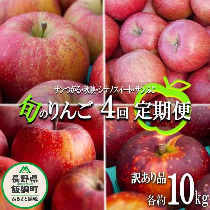 【ふるさと納税】 旬のりんご 【 定期便 】 訳あり 9kg 〜 10kg × 4回 松橋りんご園 沖縄県への配送不可 令和7年度収穫分 長野県 飯綱町 【 信州 果物 フルーツ リンゴ 林檎 長野 】発送時期：2025年9月上旬〜2025年12月下旬{*}