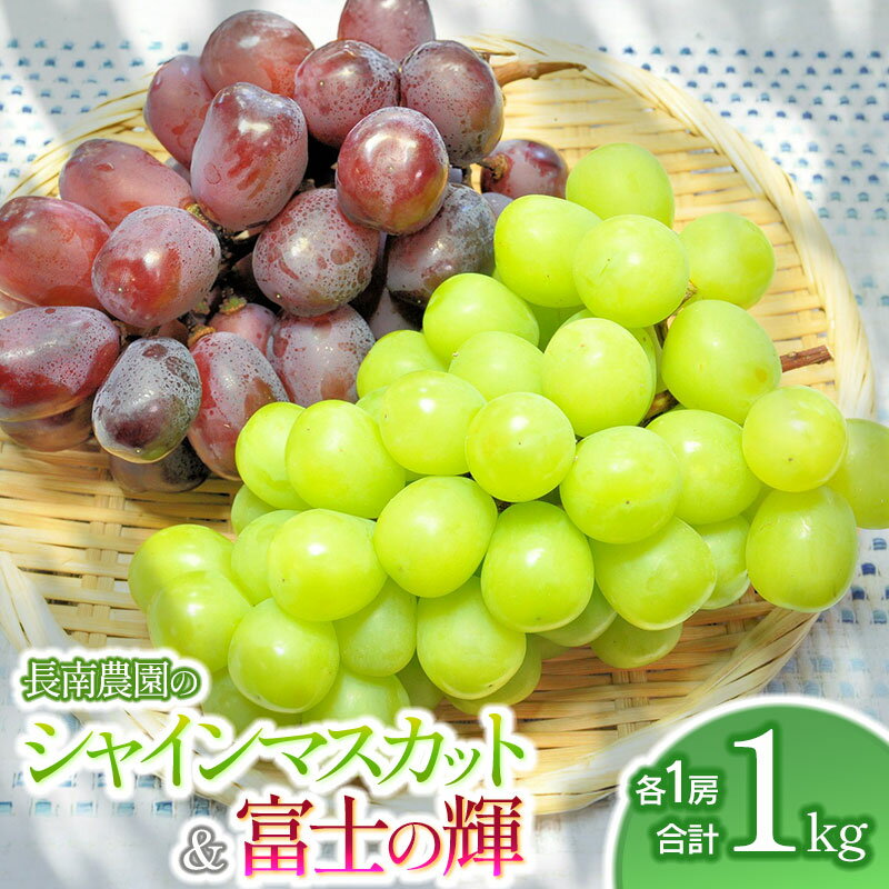 【ふるさと納税】【令和8年産先行予約】シャインマスカットと富士の輝 各1房（合計 約1kg）　山形県鶴岡市産　長南農園 | 人気 ぶどう 大粒 マスカット 甘い 種無し 皮ごと食べられる 旬 期間限定 産地直送 ギフト 贈答用 敬老の日 送料無料 東北 山形県 鶴岡市