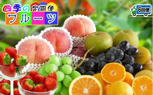 【定期便6回】創業100年 産直あきんど四季のフルーツの定期便《6ヶ月連続でお届け》