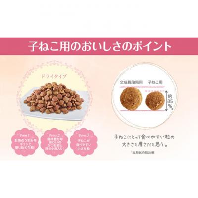 ふるさと納税 伊丹市 銀のスプーン三ツ星グルメ香るお魚仕立て健康に育つ子ねこ用お魚レシピ[54030330] |  | 02