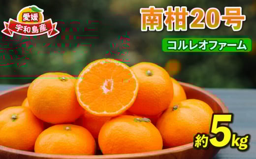 みかん 贈答用 南柑20号 温州みかん 5kg コルレオファーム フルーツ 愛媛みかん 柑橘 蜜柑 mikan 温州 果物 くだもの 人気のみかん 美味しいみかん 濃厚みかん 温州蜜柑 贈答品 贈答 ギフト プレゼント 産地直送 数量限定 先行予約 国産 愛媛 宇和島 B010-145008