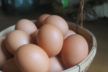 石垣島の卵がたっぷり やさしいプリン 5個セット | プリン 卵 石垣島 沖縄 石垣市 デザート おやつ PK-005