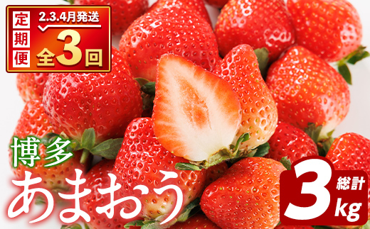 ＜先行予約受付中！2026年2月上旬以降順次発送予定＞＜定期便・全3回(2月・3月・4月)＞博多 あまおう (総計3kg) いちご イチゴ 苺 ストロベリー 果物 フルーツ おやつ デザート 冷蔵 旬