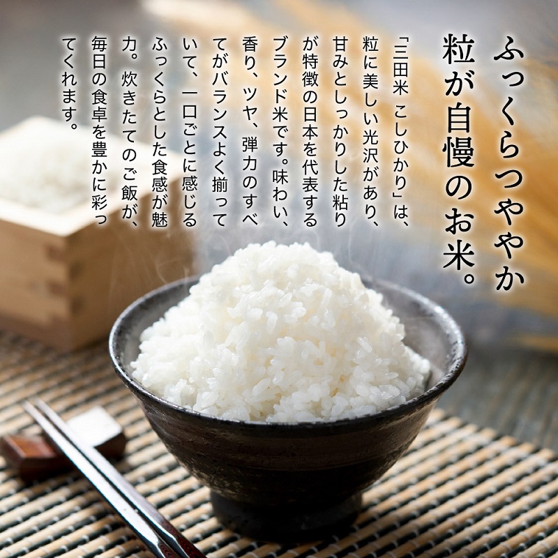 テレビで話題★【定期便】【令和7年度産】 三田米 コシヒカリ 5kg 6ヶ月連続 こめ コメ お米 白米 こしひかり 数量限定 訳あり ふるさと納税 ふるさと 人気 おすすめ 送料無料 兵庫県 三田市