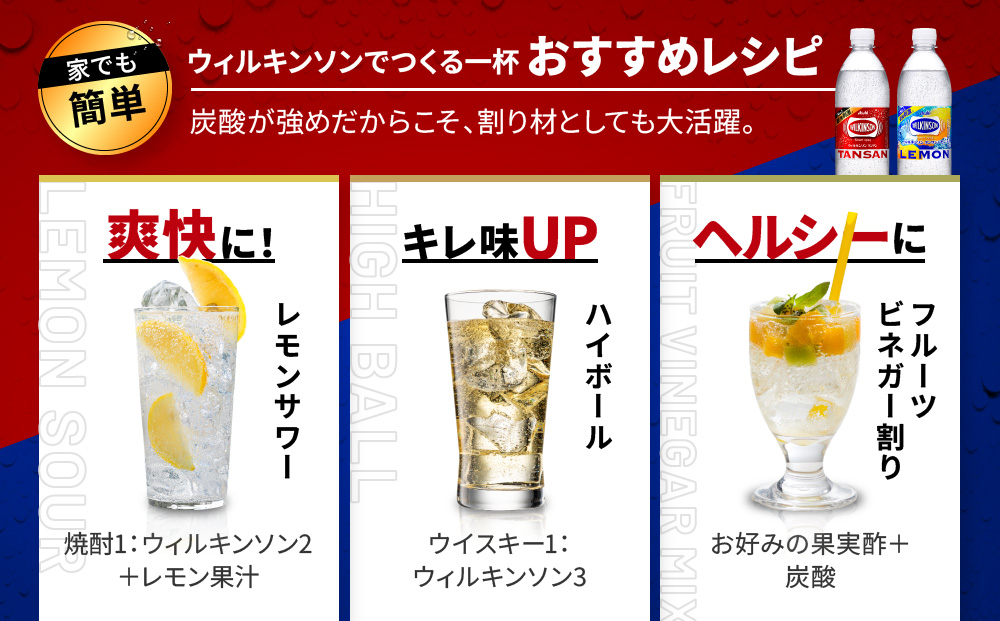 アサヒ飲料 ウィルキンソン タンサン+レモン各1箱セット（500mlペットボトル×24本×2箱）