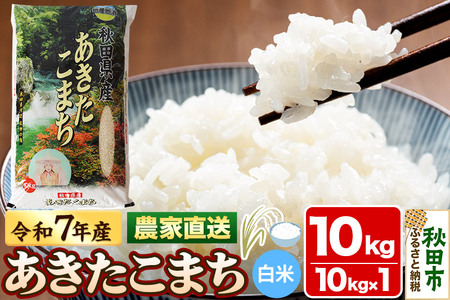 米 あきたこまち 10kg 令和7年産 新米 白米 田口商店 農家直送 秋田県産