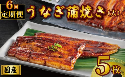 国産うなぎ蒲焼き タレ・山椒付き 5枚 1枚約110g 定期便6回  うなぎ 鰻 蒲焼 うな重 鰻丼 うな丼 ひつまぶし 土用の丑の日 土用丑 魚 海鮮 魚介類 肉 冷凍 真空パック 個包装 小分け おつまみ おかず 惣菜 ビール 酒 焼酎 日本酒 ウイスキー  お取り寄せ ギフト プレゼント 贈答 贈答用 贈り物  お中元 お歳暮 母の日 父の日 敬老の日 千葉県 銚子市 有限会社石毛川魚店
