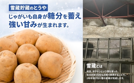 北海道 雪蔵 とうや  L～LM 約10kg 2025年2月中旬より順次お届け じゃがいも ジャガイモ じゃが芋 馬鈴薯 芋 いも イモ 旬 雪蔵貯蔵 野菜 農作物 カレー シチュー肉じゃが 北海道産