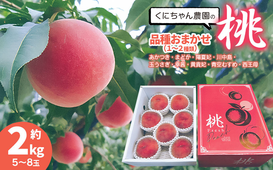 
            【令和7年産先行予約】 鶴岡市産 桃 (品種おまかせ) 約2kg(5～8玉)　くにちゃん農園
          