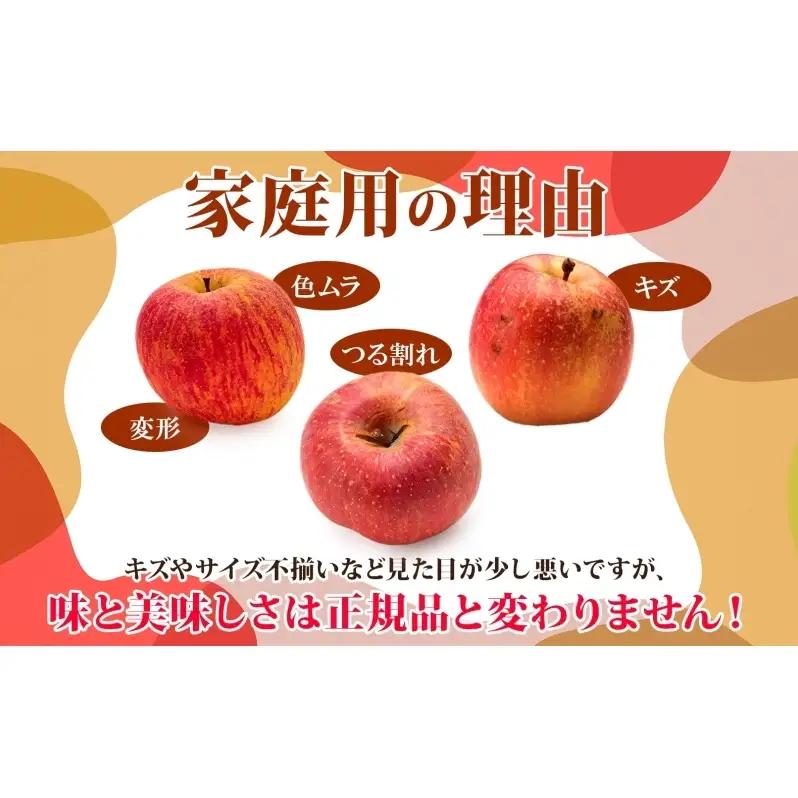りんご詰合せ サンふじ王林 青森県産 家庭用 りんご詰合せ【約5kg】【12月発送】