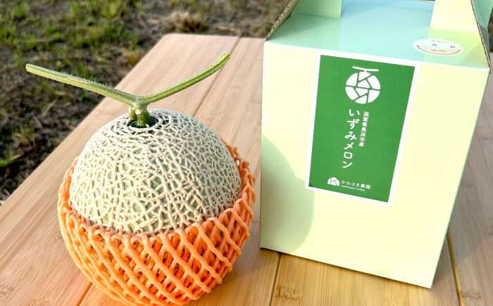 マスクメロン メロン めろん フルーツ 果物 赤肉 甘い 夏 10000円 1万円 ギフト 贈り物 プレゼント 人気 おすすめ