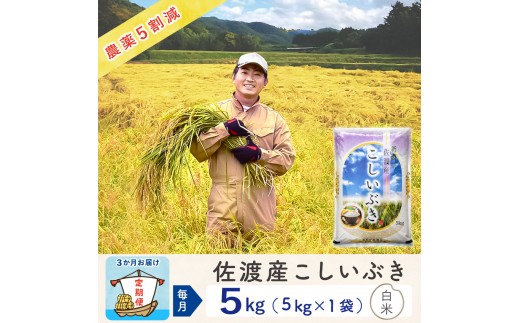 【3か月定期便】佐渡島産こしいぶき 白米5Kg 令和7年 ～農薬5割減～ 農家直送