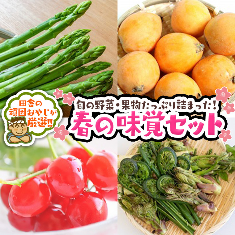 
春の味覚（野菜・果物）厳選セット【令和5年4月より発送開始】田舎の頑固おやじが厳選！
