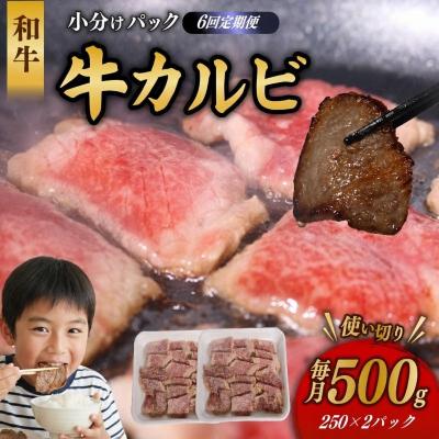 ふるさと納税 室戸市 【6回定期便】 和牛 カルビ 500g 牛肉 焼肉
