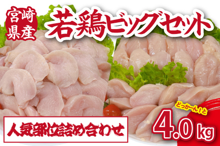 【人気部位詰め合わせ】宮崎県産若鶏4kgビッグセット（若鶏 国産 モモ ムネ ササミ 小分け 大容量 冷凍 鶏肉セット 鶏肉セット 鶏肉セット 鶏肉セット )