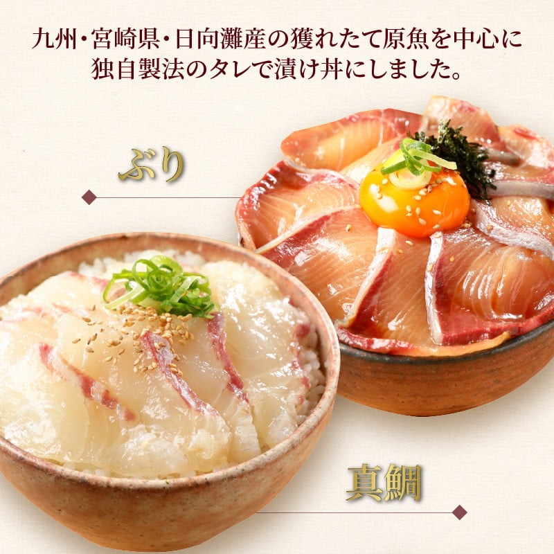 【冷凍】活〆ブリ・真鯛・近海マグロ・生アトランサーモンの漬け丼4種食べ比べセット100g×8袋 N019-YB251