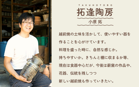 越前焼のふるさと越前町からお届け！拓逢陶房 掛分白 お皿とカップ「くつろぎのうつわ」 越前焼 越前焼き 【福井県 伝統工芸品 陶器 陶磁器 マグカップ 小皿】 [e25-a008]