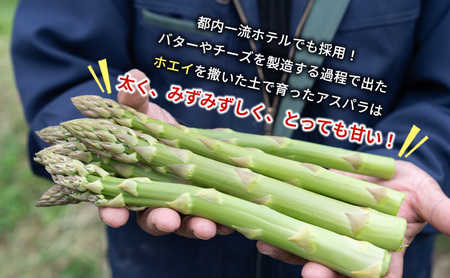 北海道芦別市産 横市ヨーグルト栽培アスパラガス3L500g+横市バター90g 横市フロマージュ舎