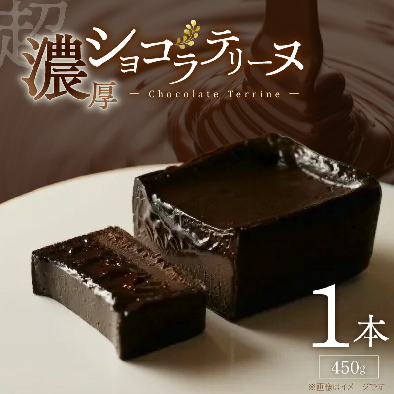 【ふるさと納税】ショコラ テリーヌ 450g × 1本 レア ガトーショコラ 濃厚 ねっとり 口当たり バニラアイス クッキー 相性がいい フォンダンショコラ お菓子 洋菓子 ケーキ スイーツ デザート おやつ お取り寄せ 福岡県 久留米市 送料無料