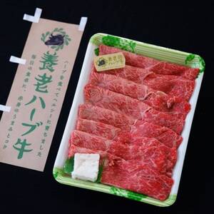 養老ハーブ牛　モモまたは肩　すき焼き・しゃぶしゃぶ両用　500g【配送不可地域：離島】【1273629】