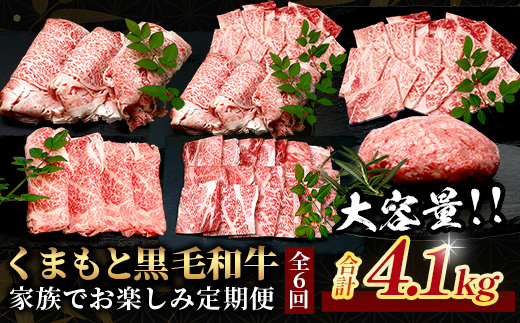 《12月終了》【定期便6回】くまもと黒毛和牛 家族でお楽しみ定期便  《 ロース すき焼き 焼肉 赤身 ハンバーグ10個 》【合計4.1kg】黒毛 和牛 焼き肉 すスキヤキ 焼き肉 上質 ブランド牛 