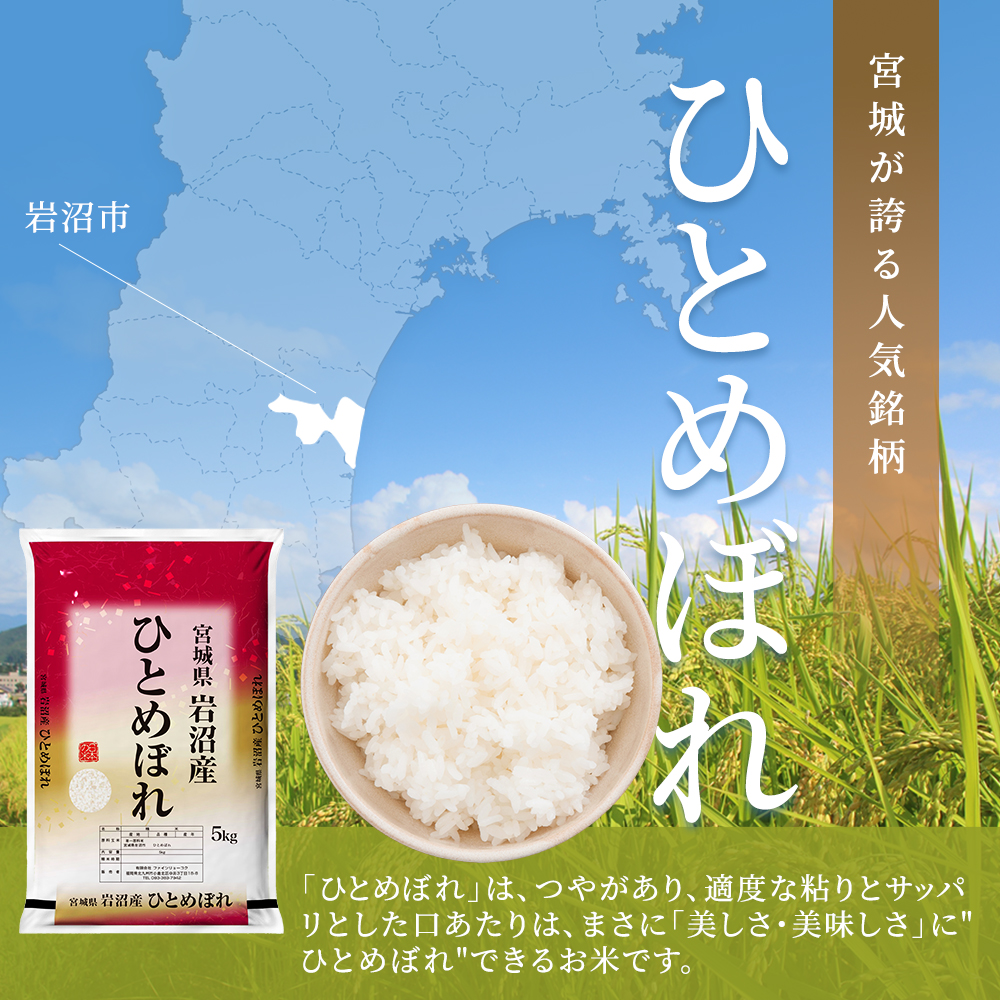 【先行予約】令和7年産新米 ひとめぼれ 10kg 米 岩沼産 お米 白米 精米 ブランド米 単一原料米 10キロ こめ コメ おこめ ご飯 ライス 東北 宮城県産 宮城県産ひとめぼれ 宮城米 宮城 宮城県 岩沼市
