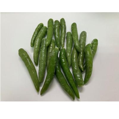 ふるさと納税 那珂川市 冷凍青唐辛子　1kg(国産)