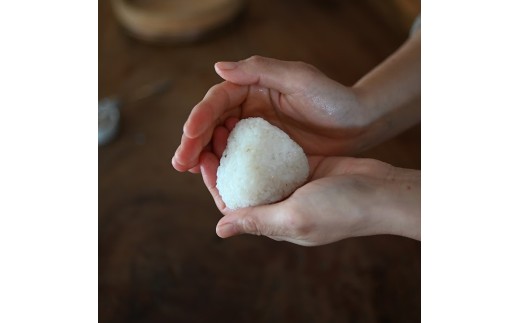 【定期便】能登島のふるさと米 コシヒカリ5kg 精米定期便 2ヶ月に1回（6回） 14日以内に発送 ※9月以降発送分については令和8年産をお送りします。