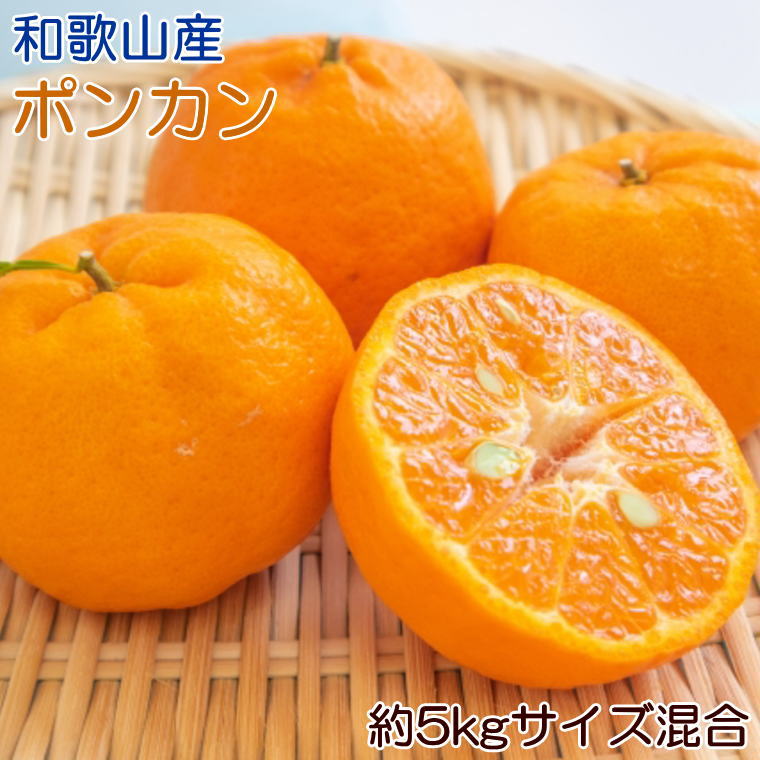 【ふるさと納税】 和歌山産 ポンカン 約5kg （サイズ混合・秀優品） ※2027年2月上旬～3月上旬頃に順次発送予定 ※沖縄・離島への配送不可