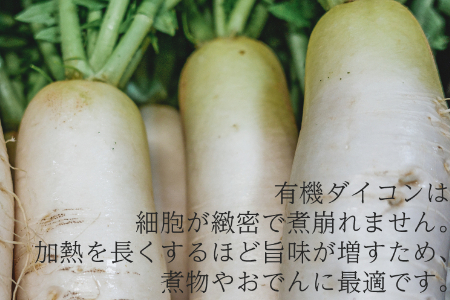 有機ダイコン　農薬不使用　有機JAS認証　冬季限定（12月、1月、2月発送）旬野菜 2136 オーガニック　無農薬　化学肥料不使用　細胞が緻密で煮くづれない　加熱を長くするほど旨味が増します　煮物やお